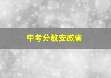 中考分数安徽省