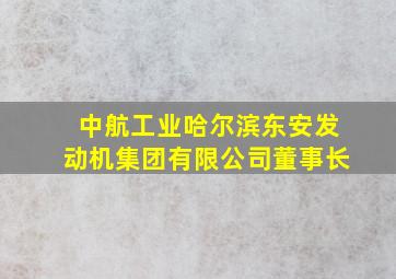 中航工业哈尔滨东安发动机集团有限公司董事长