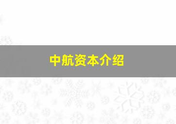 中航资本介绍