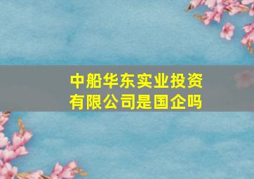 中船华东实业投资有限公司是国企吗