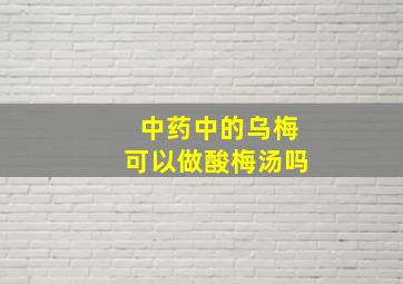 中药中的乌梅可以做酸梅汤吗