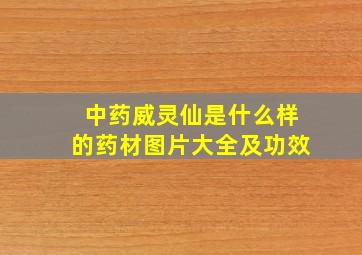 中药威灵仙是什么样的药材图片大全及功效