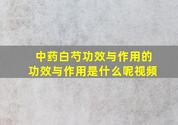 中药白芍功效与作用的功效与作用是什么呢视频