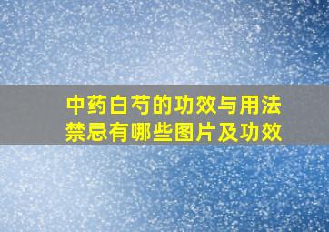 中药白芍的功效与用法禁忌有哪些图片及功效