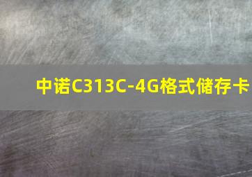 中诺C313C-4G格式储存卡