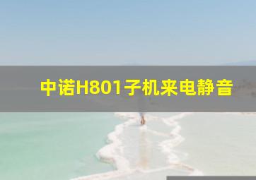 中诺H801子机来电静音