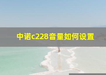 中诺c228音量如何设置