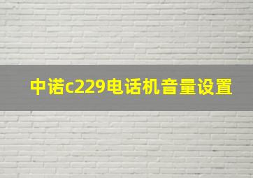 中诺c229电话机音量设置