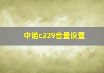 中诺c229音量设置