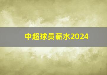 中超球员薪水2024