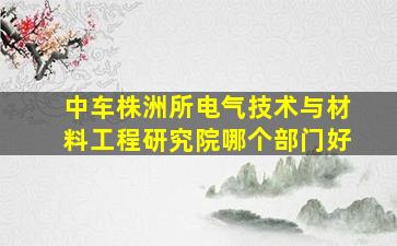 中车株洲所电气技术与材料工程研究院哪个部门好