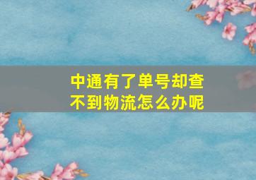 中通有了单号却查不到物流怎么办呢