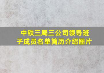 中铁三局三公司领导班子成员名单简历介绍图片