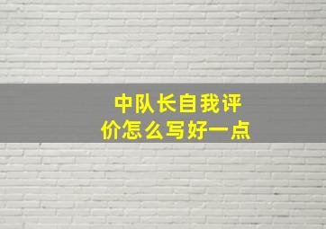 中队长自我评价怎么写好一点