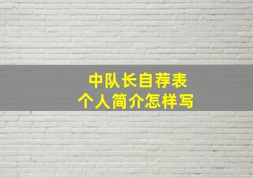 中队长自荐表个人简介怎样写