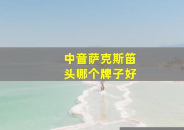 中音萨克斯笛头哪个牌子好