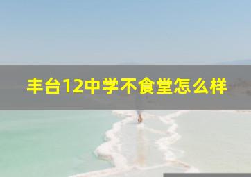 丰台12中学不食堂怎么样