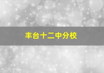 丰台十二中分校