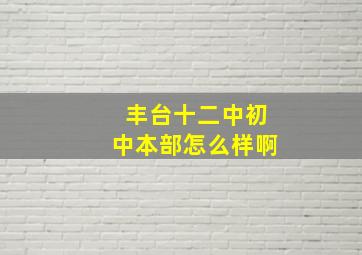 丰台十二中初中本部怎么样啊