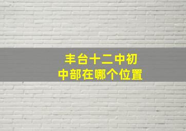 丰台十二中初中部在哪个位置