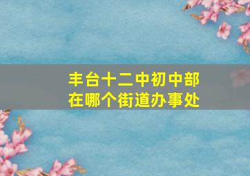 丰台十二中初中部在哪个街道办事处