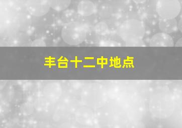 丰台十二中地点