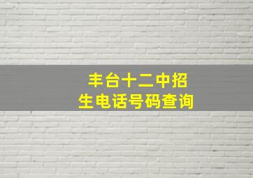 丰台十二中招生电话号码查询