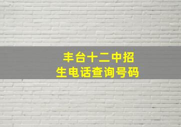 丰台十二中招生电话查询号码