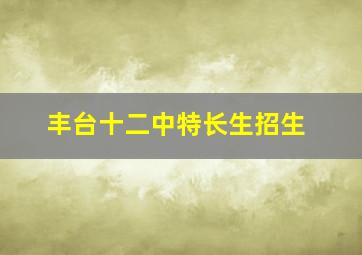 丰台十二中特长生招生