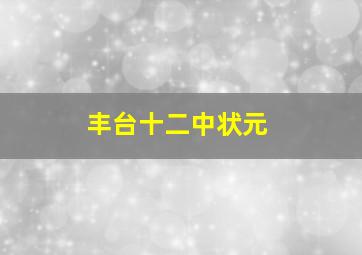 丰台十二中状元