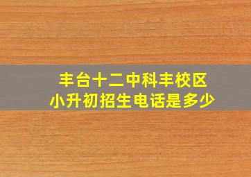 丰台十二中科丰校区小升初招生电话是多少