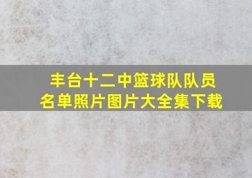 丰台十二中篮球队队员名单照片图片大全集下载