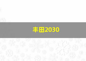 丰田2030