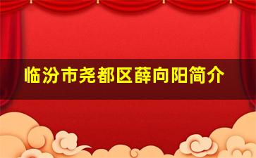 临汾市尧都区薛向阳简介