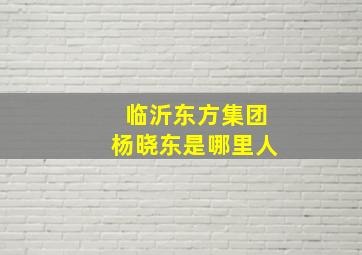 临沂东方集团杨晓东是哪里人