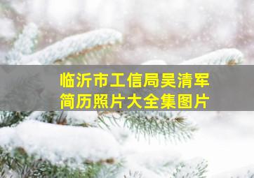 临沂市工信局吴清军简历照片大全集图片