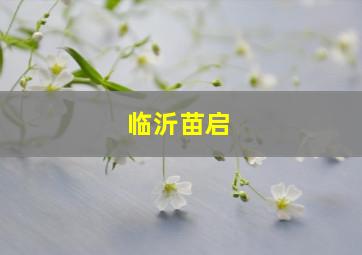 临沂苗启