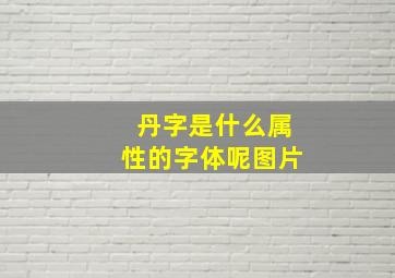 丹字是什么属性的字体呢图片