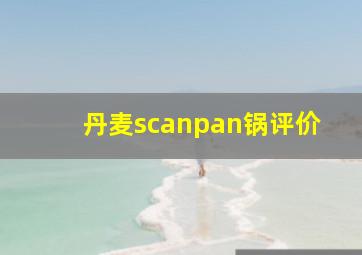 丹麦scanpan锅评价