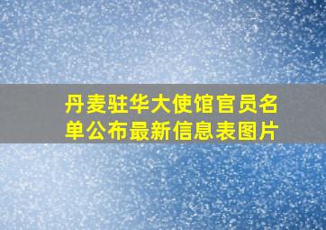 丹麦驻华大使馆官员名单公布最新信息表图片