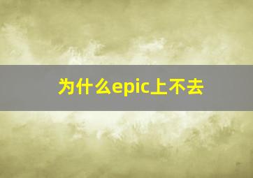 为什么epic上不去