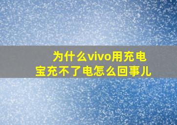 为什么vivo用充电宝充不了电怎么回事儿