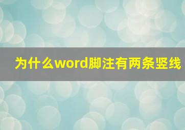 为什么word脚注有两条竖线