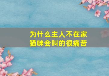 为什么主人不在家猫咪会叫的很痛苦