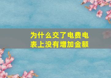 为什么交了电费电表上没有增加金额