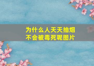 为什么人天天抽烟不会被毒死呢图片