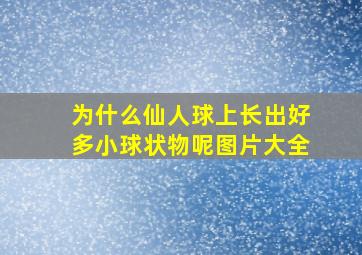 为什么仙人球上长出好多小球状物呢图片大全