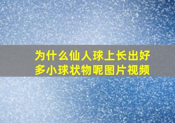 为什么仙人球上长出好多小球状物呢图片视频