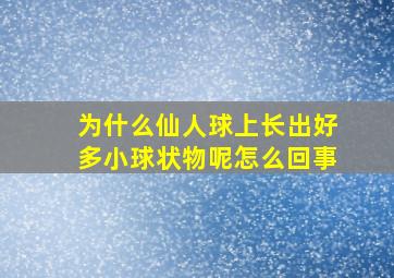 为什么仙人球上长出好多小球状物呢怎么回事