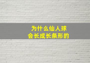 为什么仙人球会长成长条形的